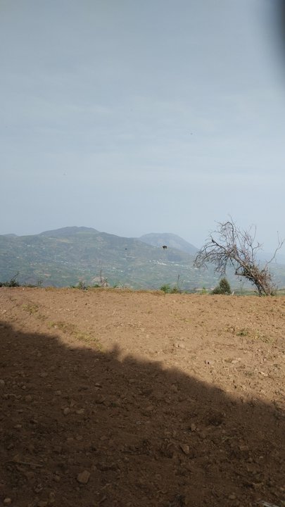 My Crowdsourcing Posts