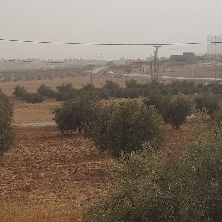 My Crowdsourcing Posts