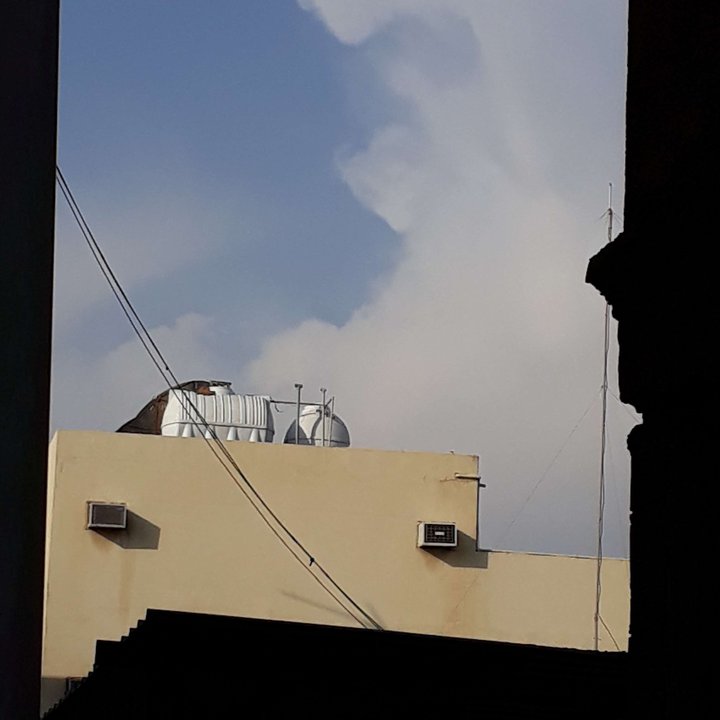 مشاركاتي في أنت الراصد