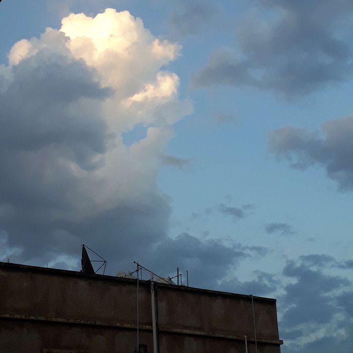 مشاركاتي في أنت الراصد