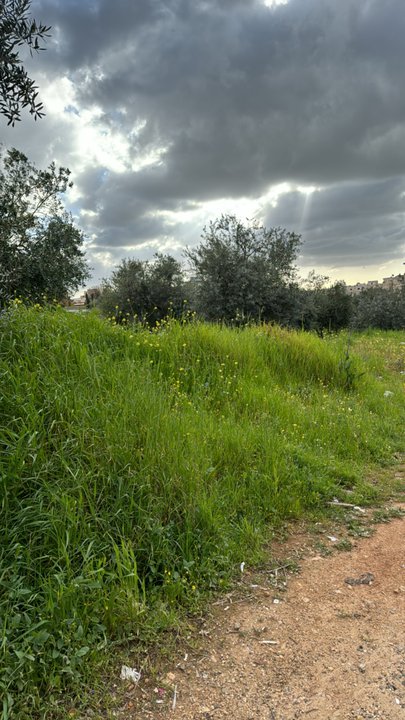 My Crowdsourcing Posts