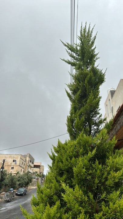 My Crowdsourcing Posts