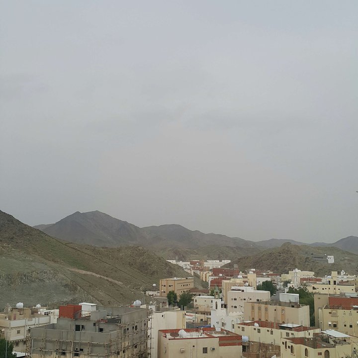 مشاركاتي في أنت الراصد