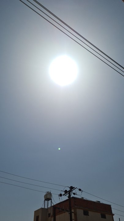 مشاركاتي في أنت الراصد