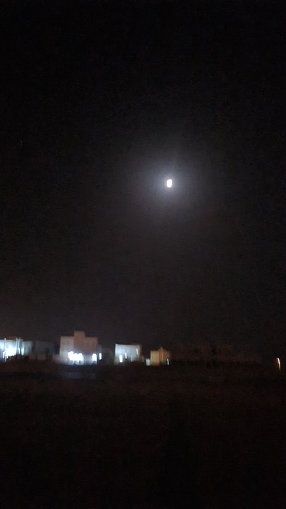 مشاركاتي في أنت الراصد