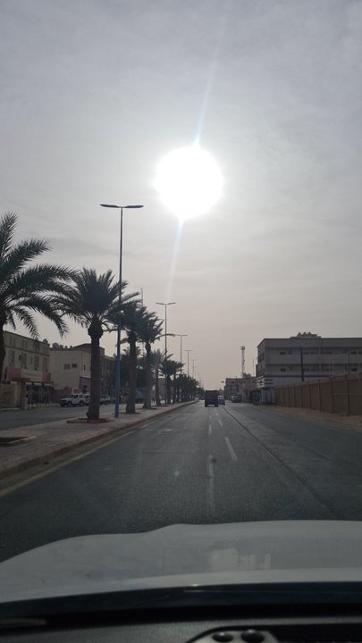 مشاركاتي في أنت الراصد