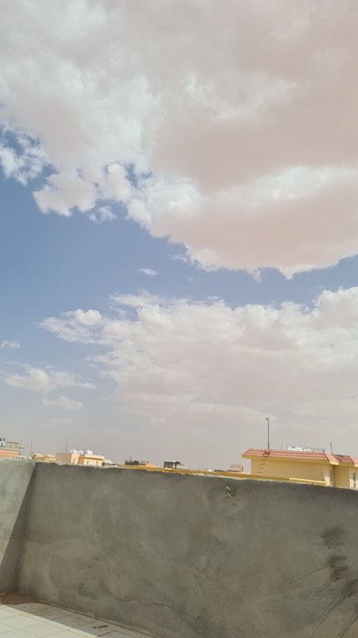 مشاركاتي في أنت الراصد