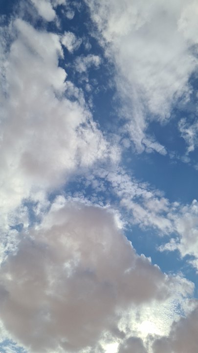 مشاركاتي في أنت الراصد