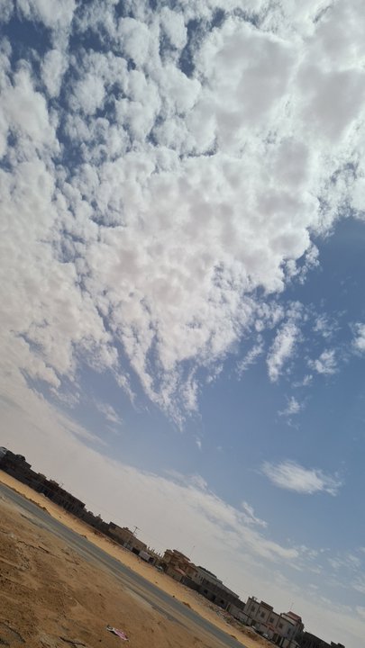 مشاركاتي في أنت الراصد