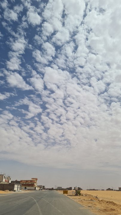 مشاركاتي في أنت الراصد