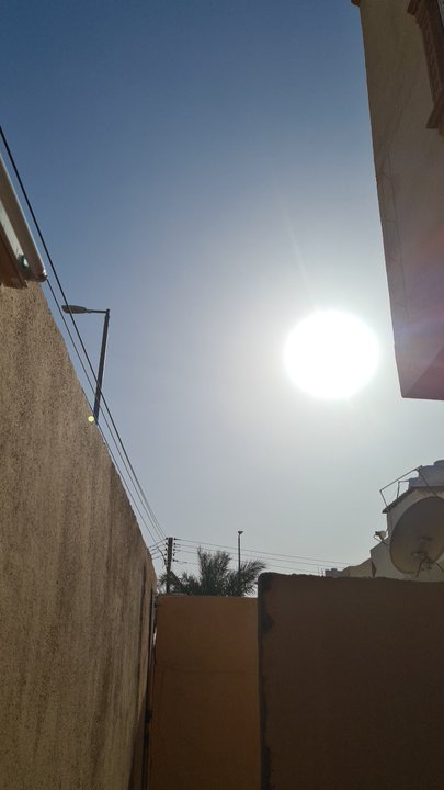 مشاركاتي في أنت الراصد