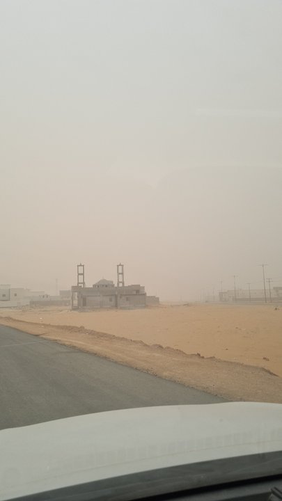 مشاركاتي في أنت الراصد