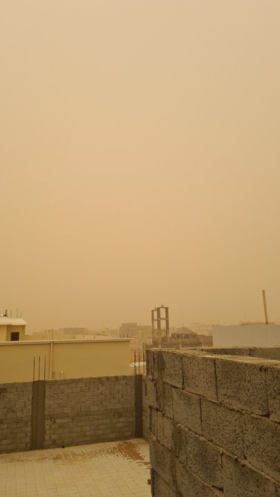 مشاركاتي في أنت الراصد