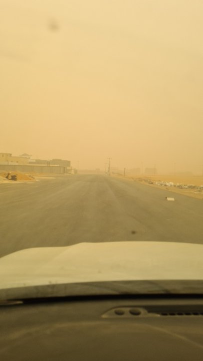 مشاركاتي في أنت الراصد