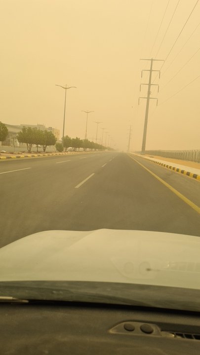 مشاركاتي في أنت الراصد