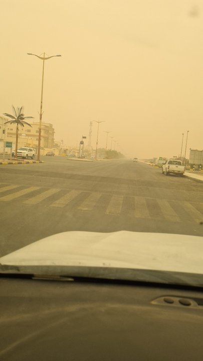 مشاركاتي في أنت الراصد