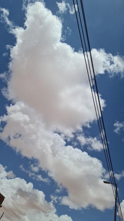 مشاركاتي في أنت الراصد