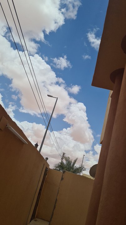 مشاركاتي في أنت الراصد