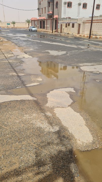 مشاركاتي في أنت الراصد