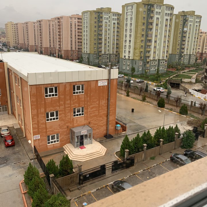 مشاركاتي في أنت الراصد