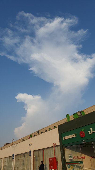 مشاركاتي في أنت الراصد