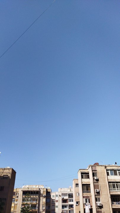 مشاركاتي في أنت الراصد