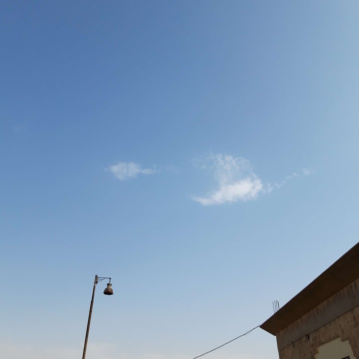 مشاركاتي في أنت الراصد