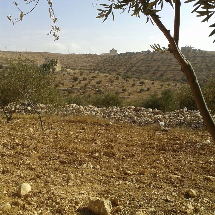 My Crowdsourcing Posts