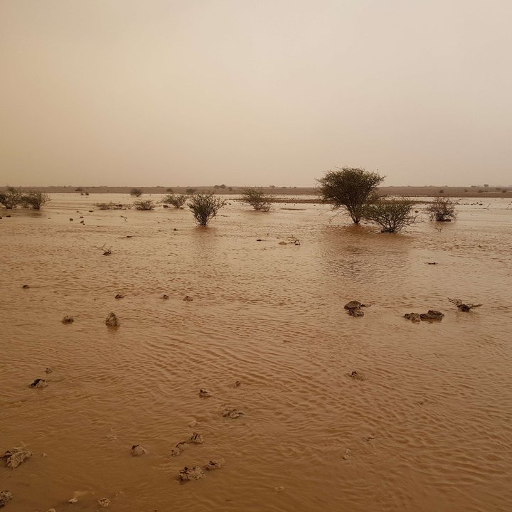 My Crowdsourcing Posts