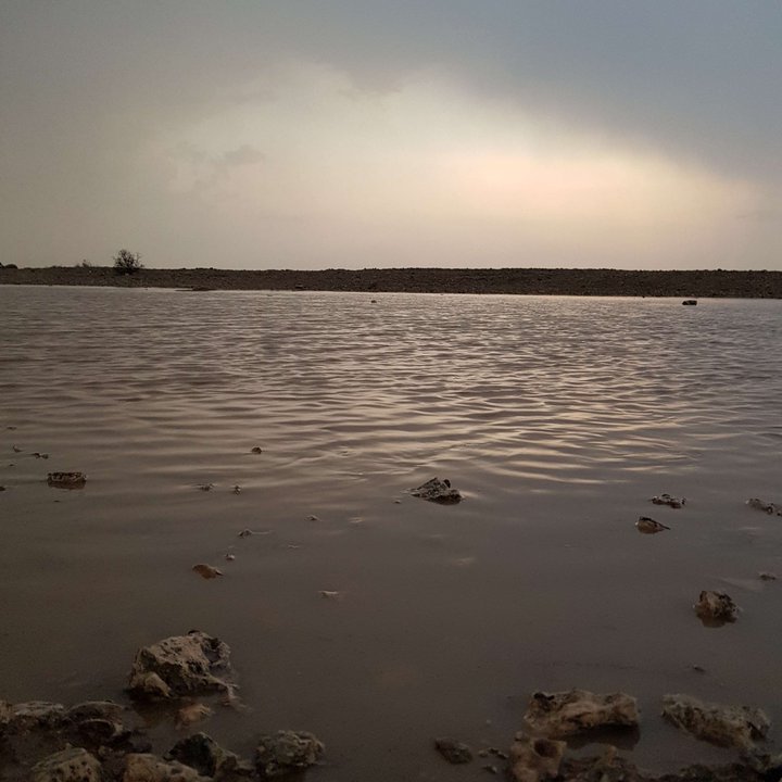 مشاركاتي في أنت الراصد