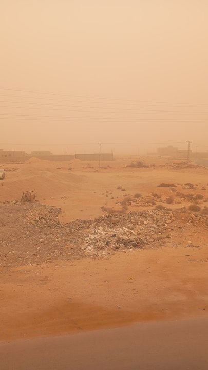 مشاركاتي في أنت الراصد