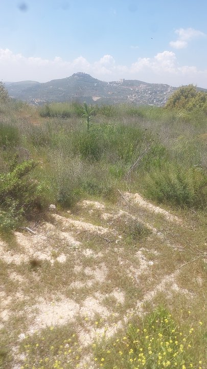 My Crowdsourcing Posts