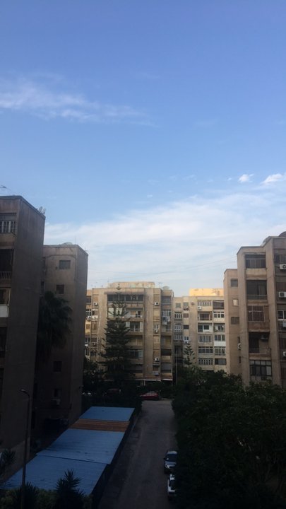 مشاركاتي في أنت الراصد
