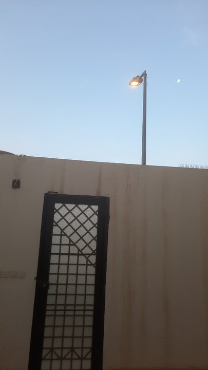 Mes publications Crowdsourcing