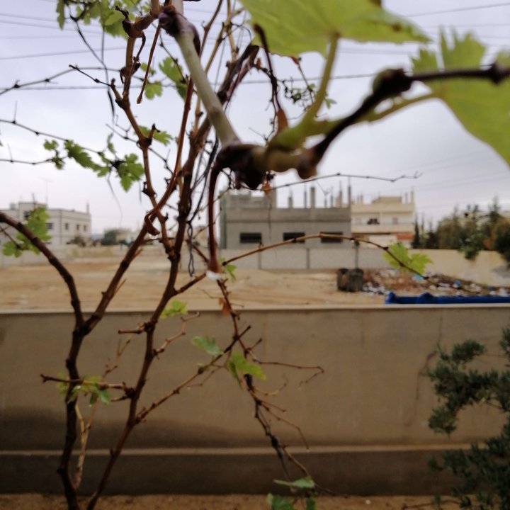 My Crowdsourcing Posts