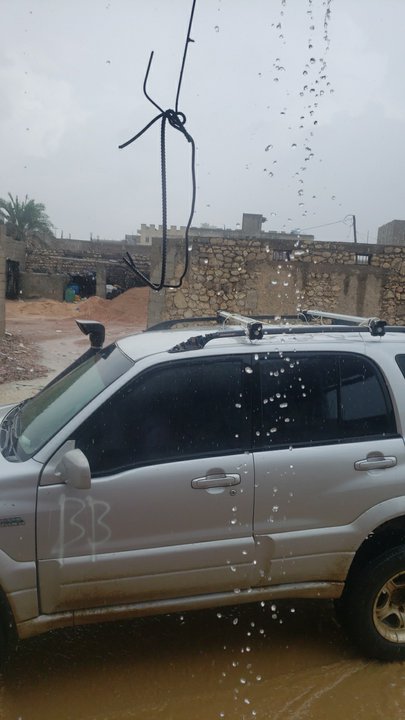 مشاركاتي في أنت الراصد