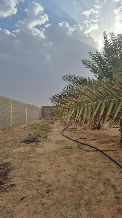 Mes publications Crowdsourcing