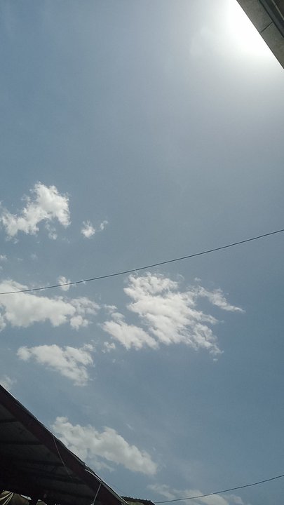 مشاركاتي في أنت الراصد