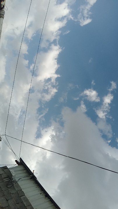 مشاركاتي في أنت الراصد