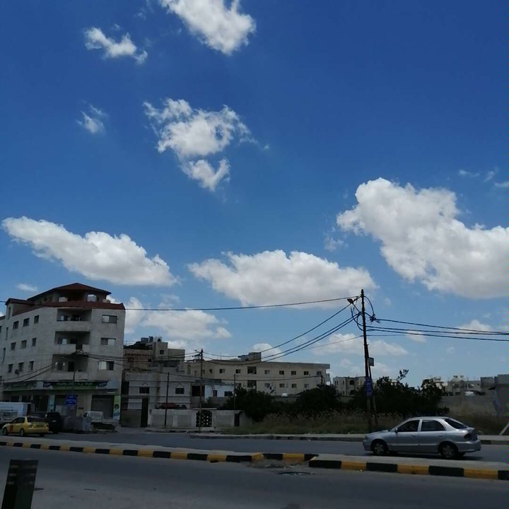 مشاركاتي في أنت الراصد