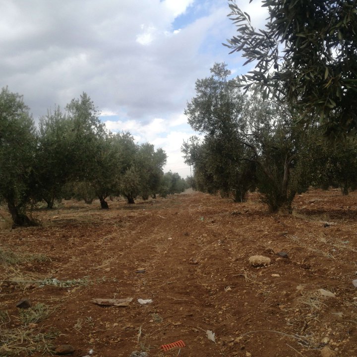 My Crowdsourcing Posts