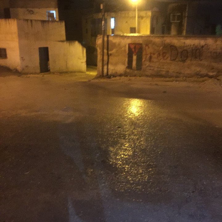 مشاركاتي في أنت الراصد