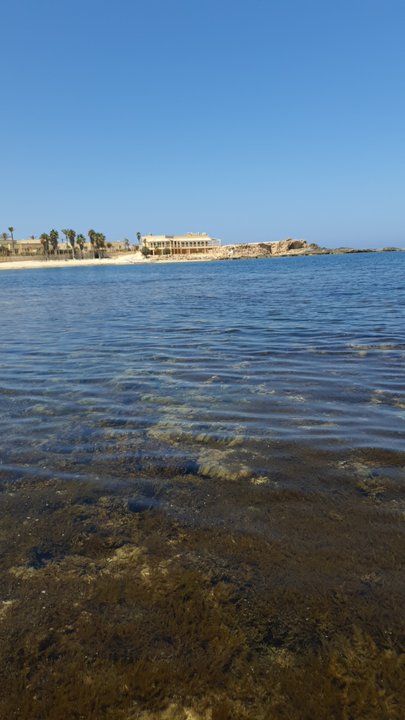 مشاركاتي في أنت الراصد