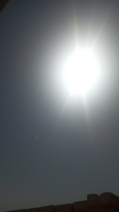 مشاركاتي في أنت الراصد