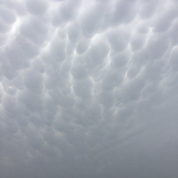 My Crowdsourcing Posts