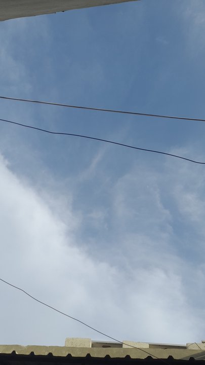 مشاركاتي في أنت الراصد