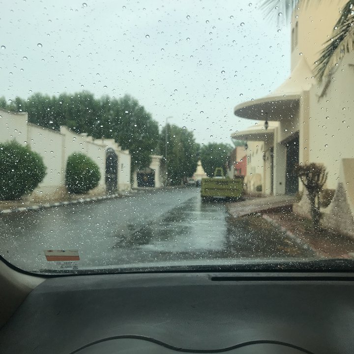 مشاركاتي في أنت الراصد