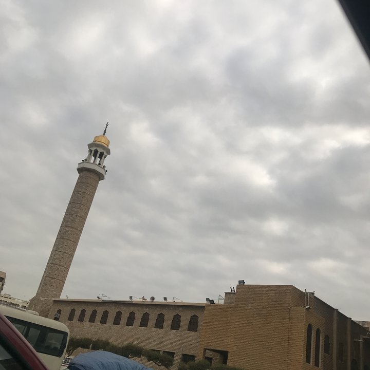 مشاركاتي في أنت الراصد