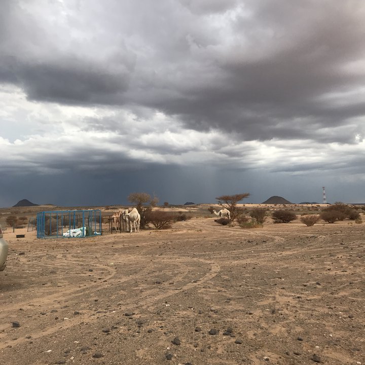 My Crowdsourcing Posts