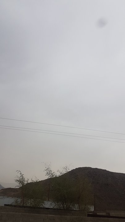 مشاركاتي في أنت الراصد